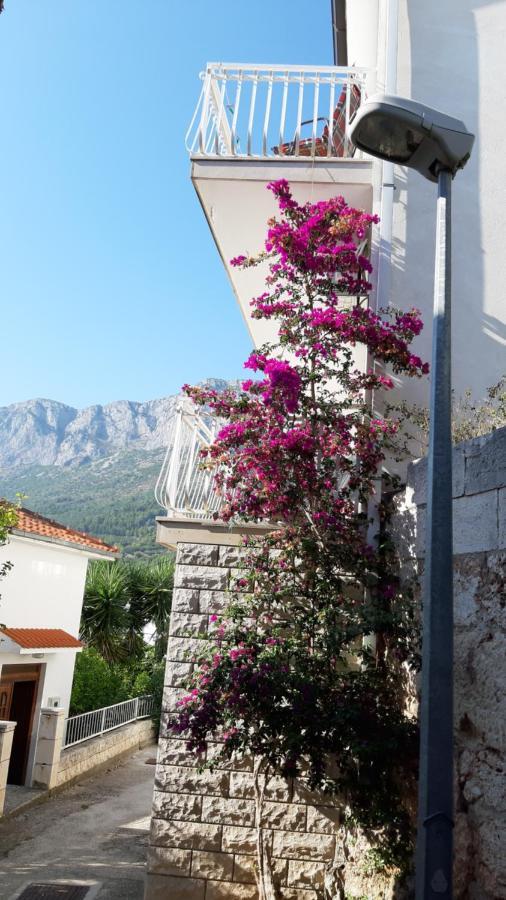 Apartmani Lara Gradac  Kültér fotó